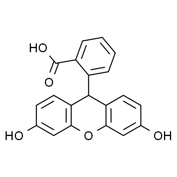 荧光素