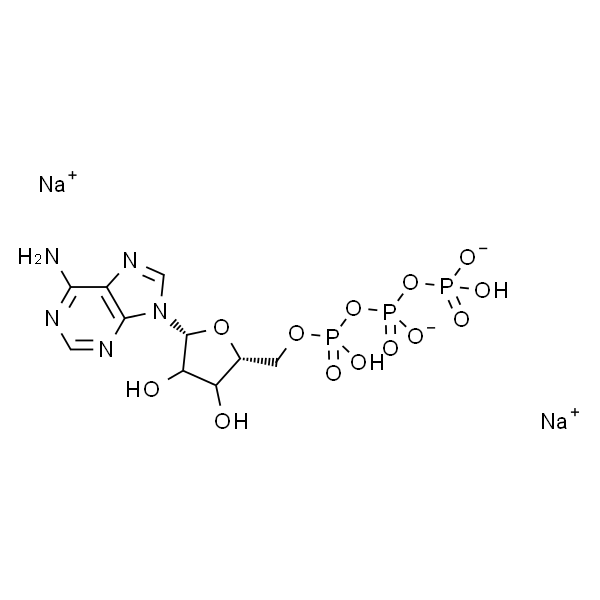 5’- 三磷酸腺苷二钠