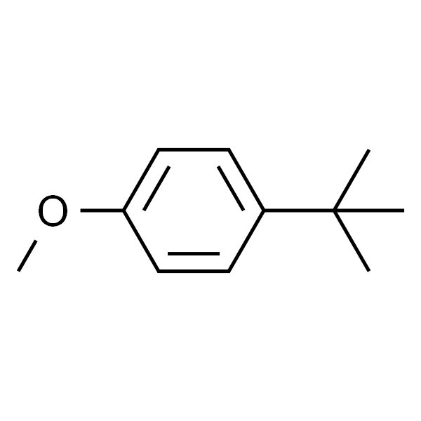 1-(叔丁基)-4-甲氧基苯