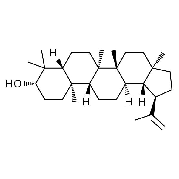 羽扇豆醇