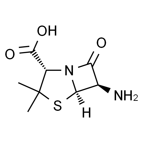 6-氨基青霉素酸