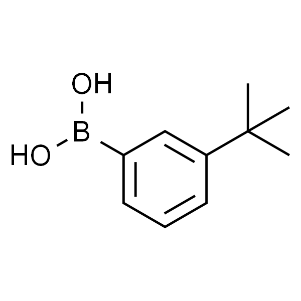 3-叔丁基苯硼酸