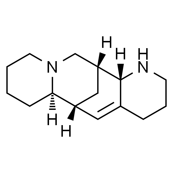 苦豆碱