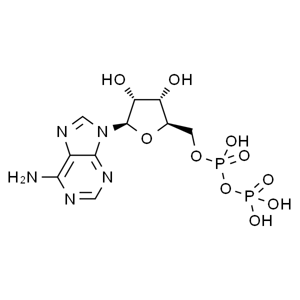 二磷酸腺苷