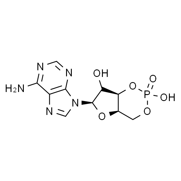 腺苷3',5'-环单磷酸 水合物