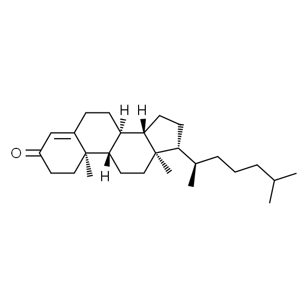 4-胆甾烯-3-酮