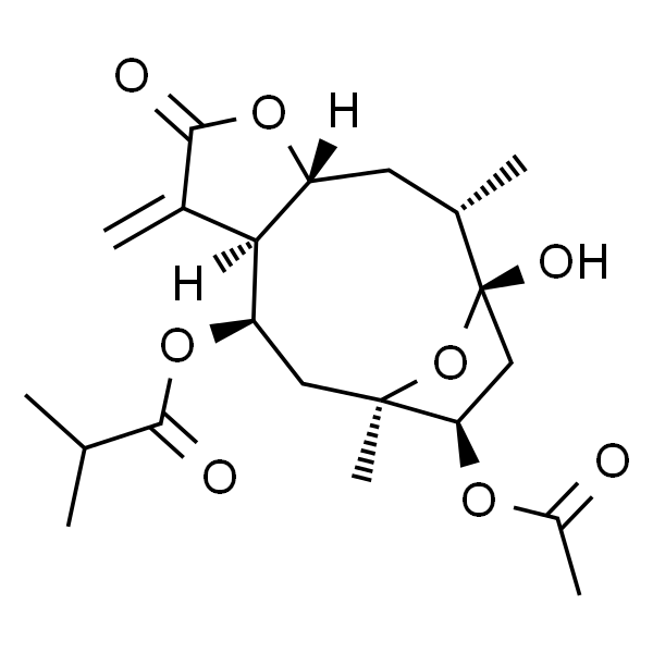 1-乙酰基掬万寿局素 A