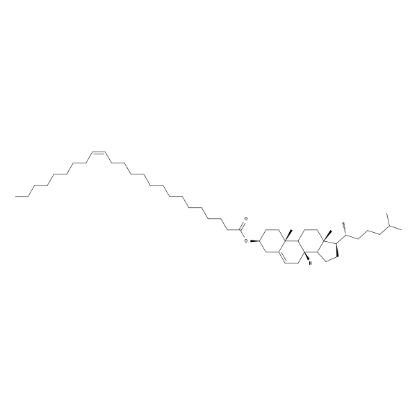 Cholesteryl Nervonate