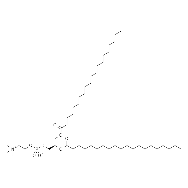 1,2-diarachidoyl-sn-glycero-3-phosphocholine