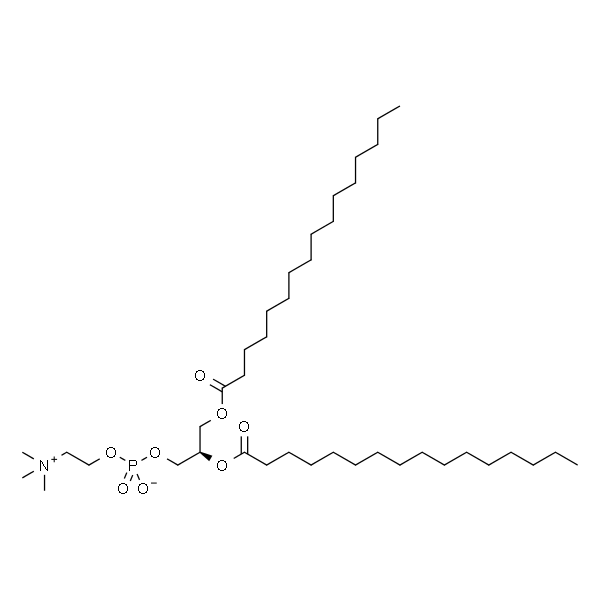 1,2-二棕榈酰-sn-甘油-3-磷酰胆碱