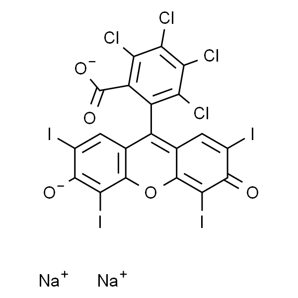 孟加拉玫瑰红