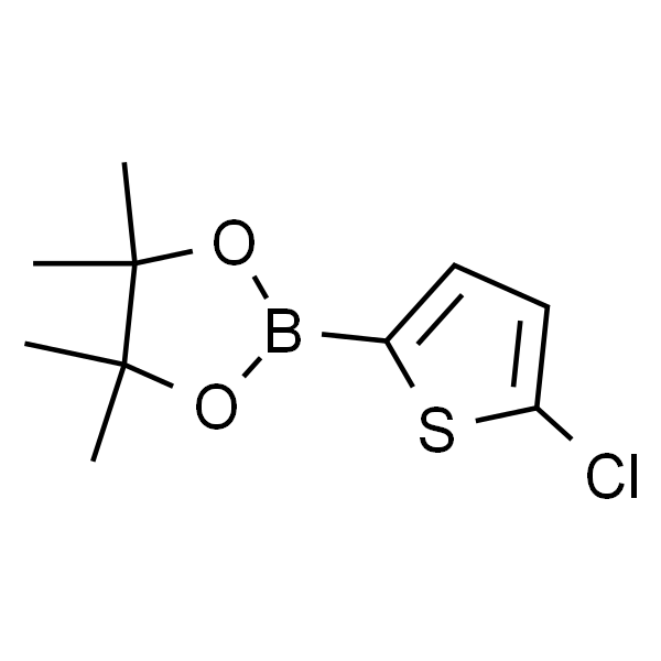 5-氯-2-(4,4,5,5-四甲基-1,3,2-二氧杂环戊硼烷-2-基)噻吩