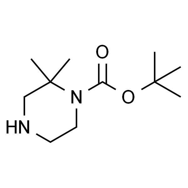1-Boc-2,2-二甲基哌嗪