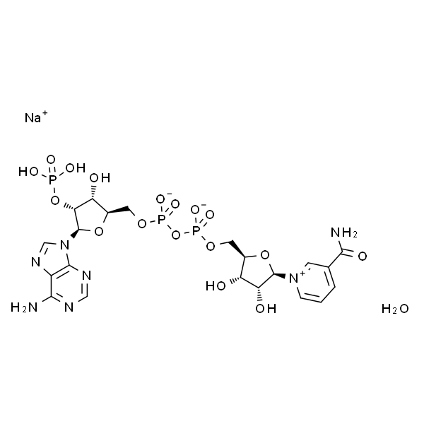 三磷酸吡啶核苷酸 钠盐 水合物