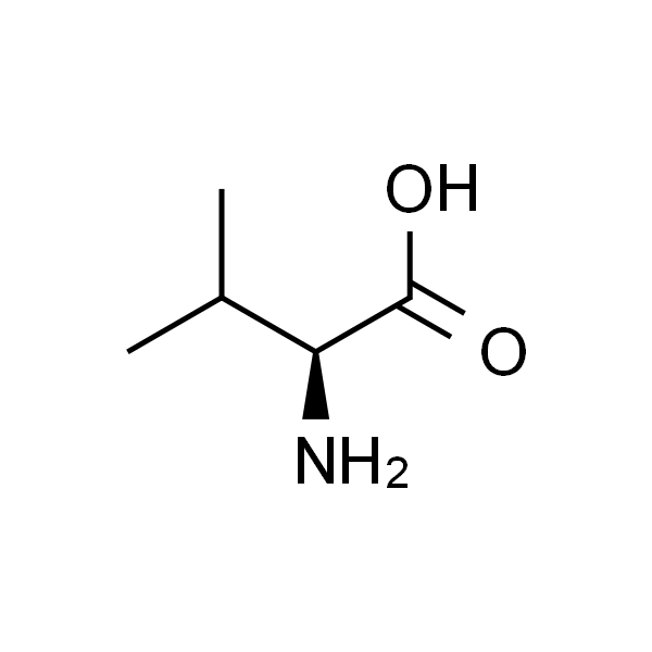 缬氨酸