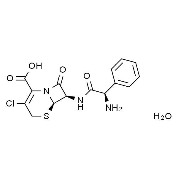 头孢克洛单水物