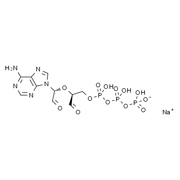 Adenosine 5'-triphosphate, periodate oxidized sodium salt 