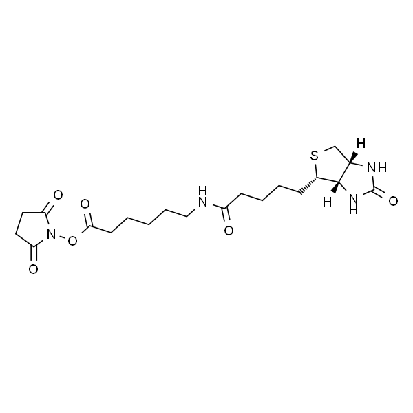 6-生物素酰氨基己酸N-琥珀酰亚胺酯