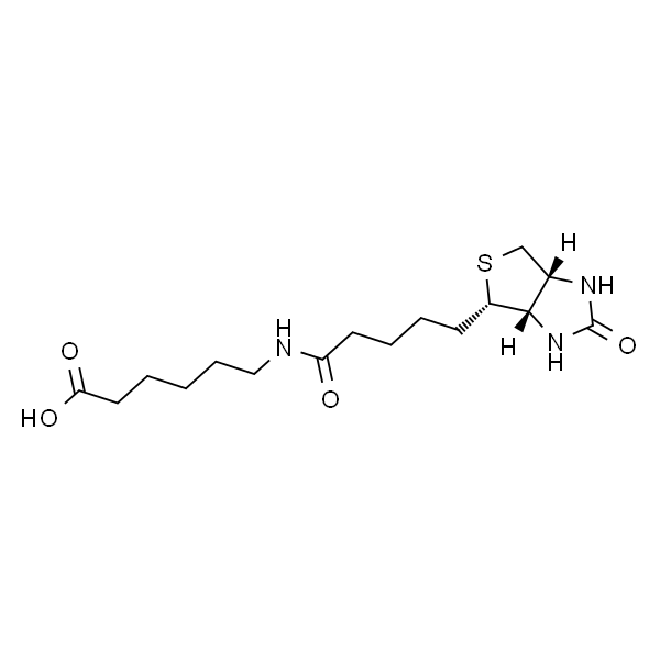 6-生物素氨基己酸