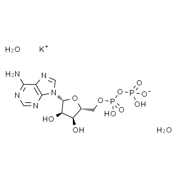 腺苷5-二磷酸钾二水合物