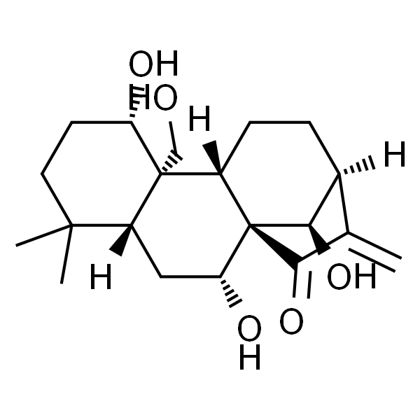 尾叶香茶菜丙素