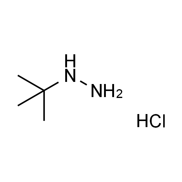 叔丁基肼盐酸盐