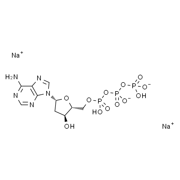 2'-脱氧腺苷-5'-三磷酸钠盐