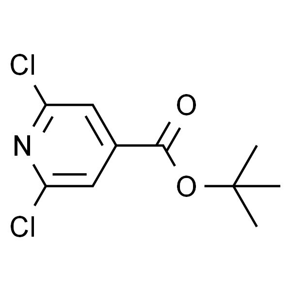 2,6-二氯异烟酸叔丁酯