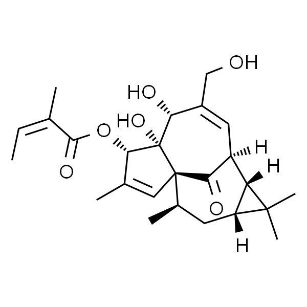 巨大戟醇-3-O-当归酸酯