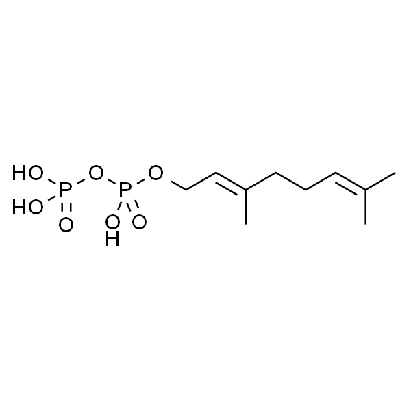 Geranyl pyrophosphate ammonium salt 1 mg/mL in methanol (:aqueous 10 mM NH4OH (7:3)), 