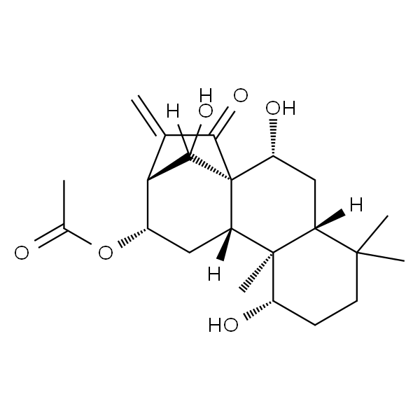 香茶菜乙素