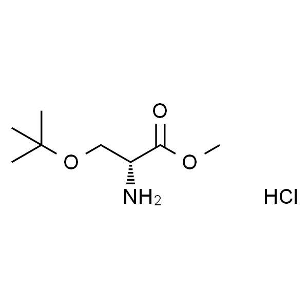 O-叔-丁基-D-丝氨酸 甲基 酯 盐酸盐