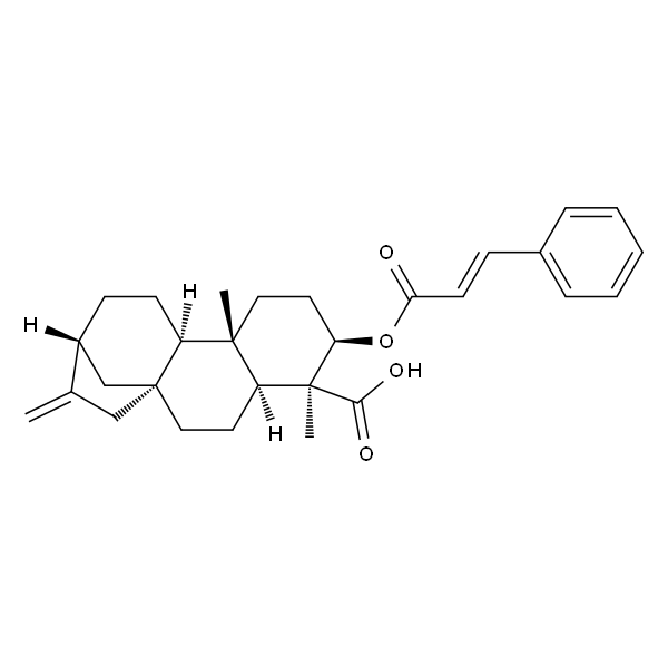 ent-3β-Cinnamoyloxykaur-16-en-19