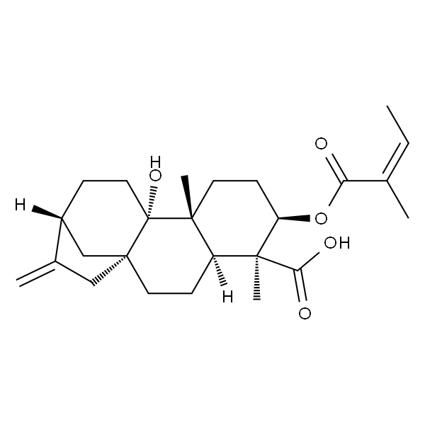 3α-当归酰氧基-9β-羟基等效贝壳杉-16-烯酸