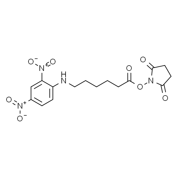 6-(2，4-二硝基苯胺基)己酸 N-琥珀酰亚氨基酯