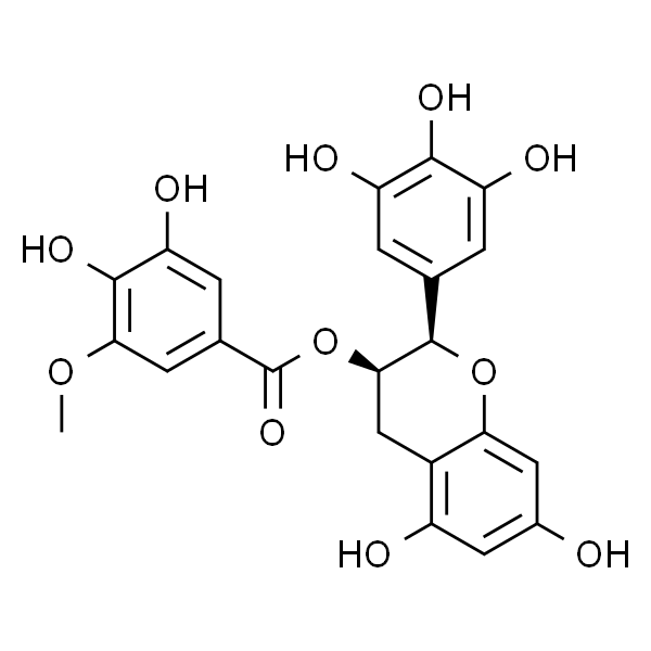 表没食子儿茶素3-O-(3''-O-甲基)没食子酸酯