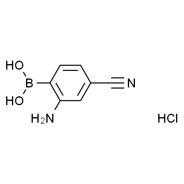 2-氨基-4-氰基苯基硼酸盐酸盐