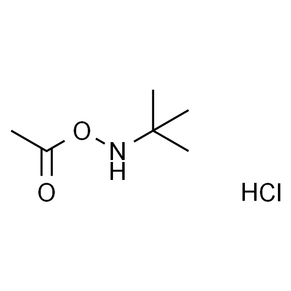 O-乙酰基-N-叔丁基羟胺盐酸盐