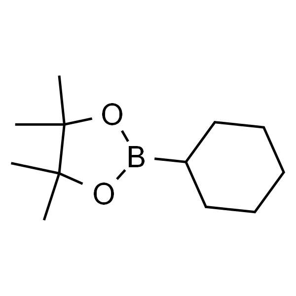 2-环己基-4,4,5,5-四甲基-1,3,2-二氧环戊硼烷