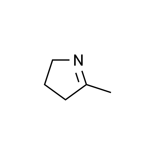 2-甲基-1-吡咯啉