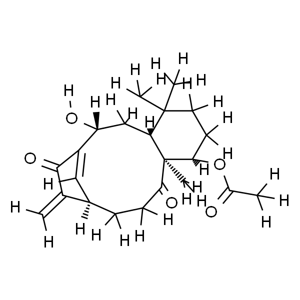 Kongensin A