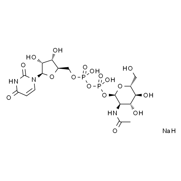 尿苷-5′-二磷酸-N-乙酰基-葡糖胺钠盐