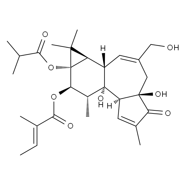 伏波酯-12-惕各酸酯-13-异丁酸酯