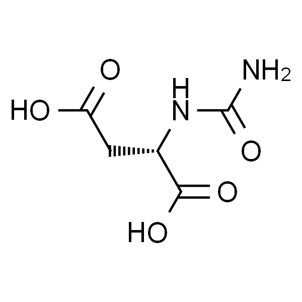 N-氨基甲酰基-DL-天冬氨酸