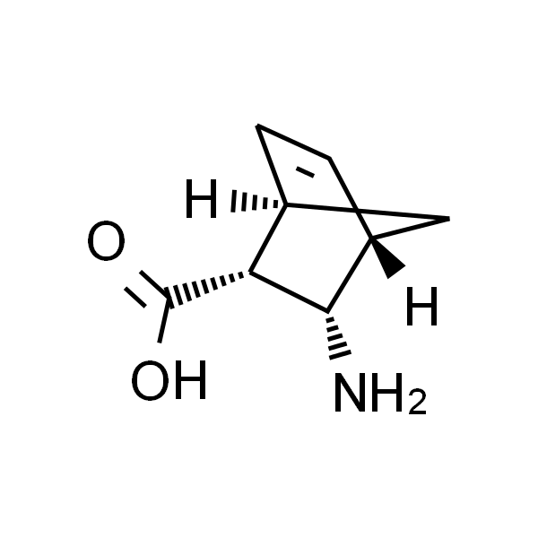 3-外双环氨基[2.2.1]-5-嗯-2-外羧基酸