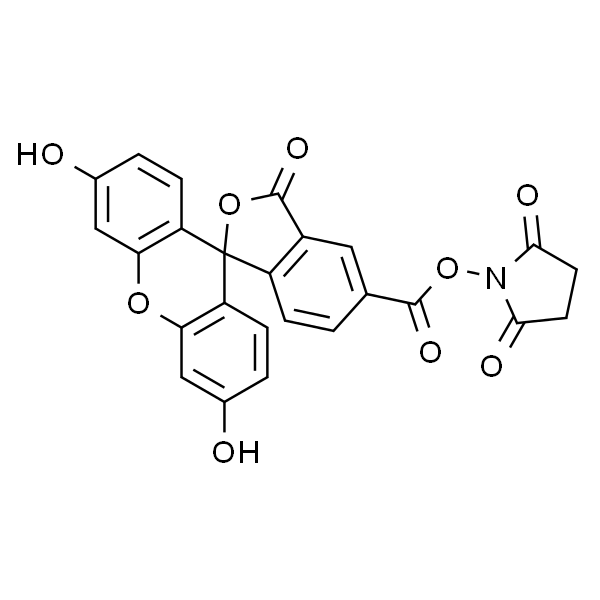 5-羧基荧光素 N-琥珀酰亚胺酯