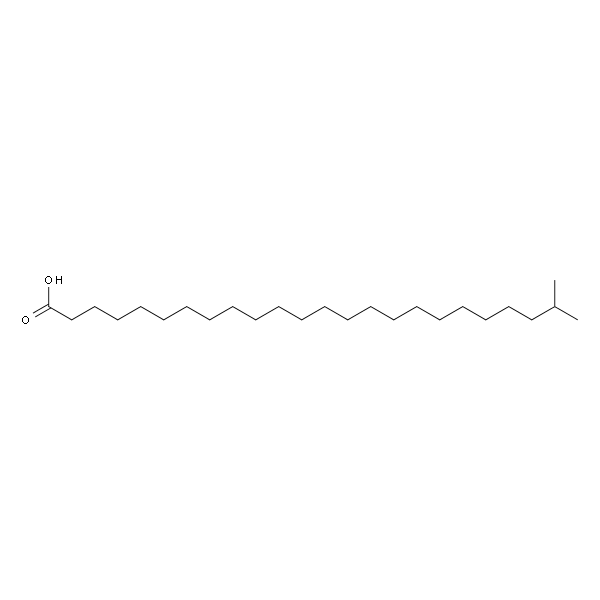 23-Methyltetracosanoic acid