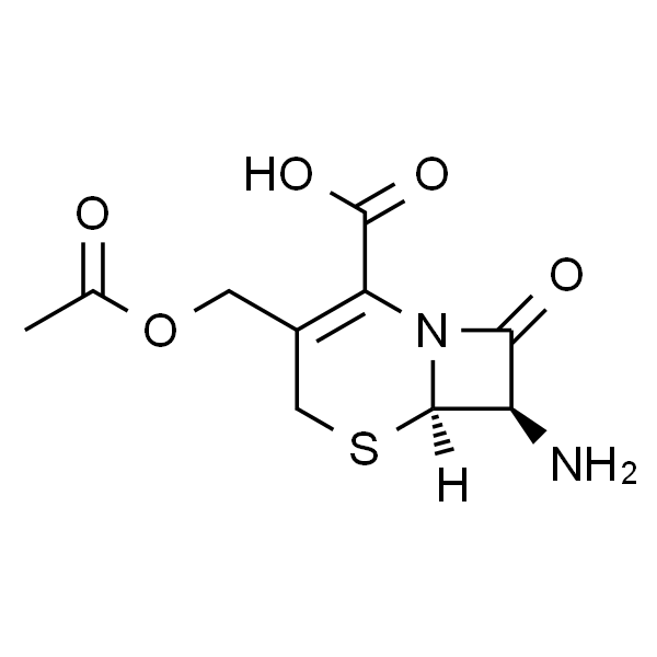 7-氨基头孢烷酸(干重)可能含2%水分