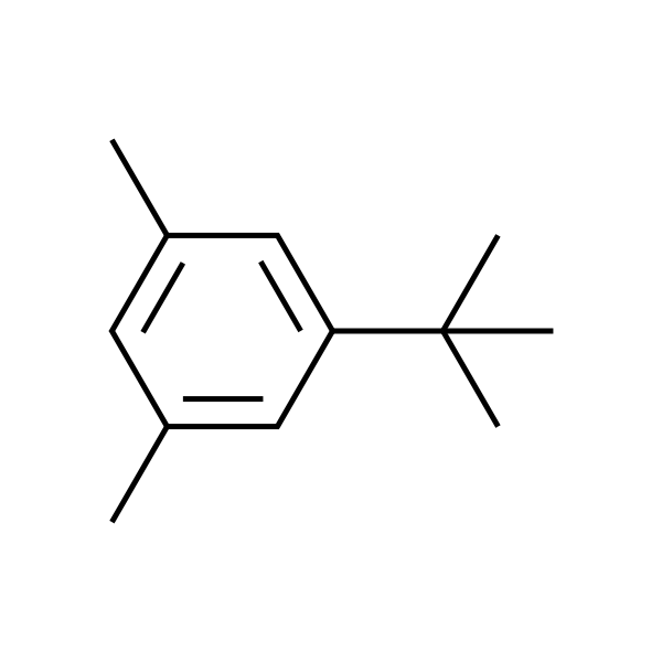 5-叔丁基间二甲苯