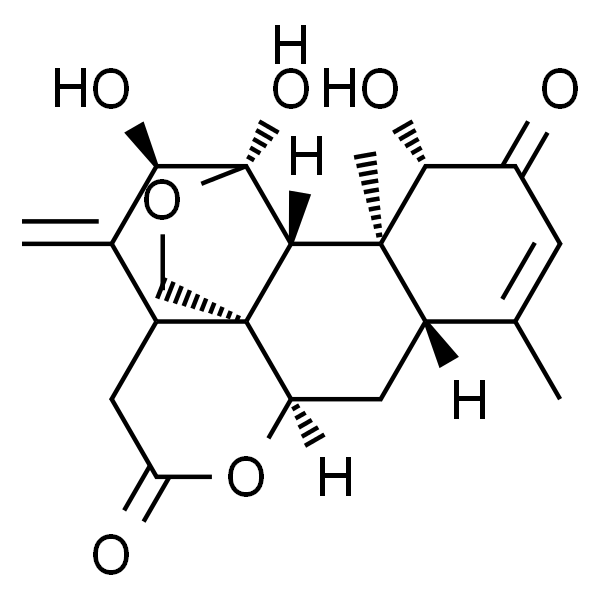 臭椿酮